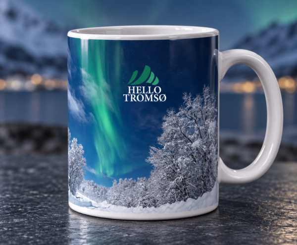 Northern Lights Mug